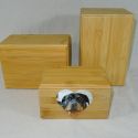 https://peelrustnl.cdn.maxicms.nl/uploads/Sales/2/2575-dsc07450-1.jpg