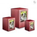 https://peelrustnl.cdn.maxicms.nl/uploads/Sales/2/2579-mpg002-pet-set-1.jpg
