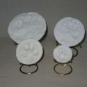 https://peelrustnl.cdn.maxicms.nl/uploads/Sales/2/2605-dsc07527-1.jpg