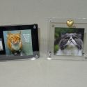 https://peelrustnl.cdn.maxicms.nl/uploads/Sales/2/3140-dsc07539-1.jpg