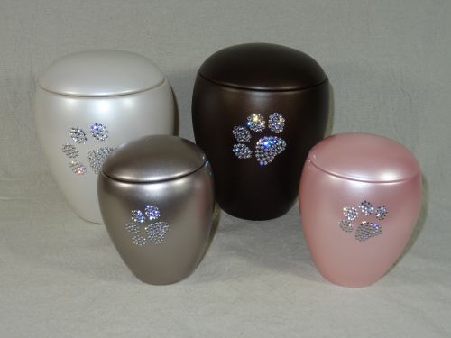 Crystal Edition poot